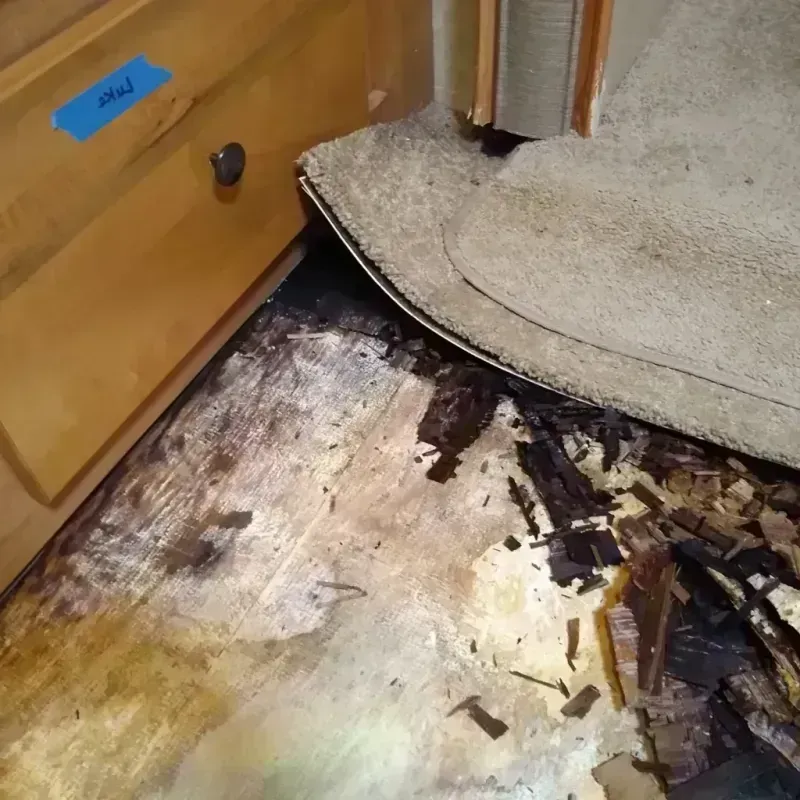 Wood Floor Water Damage in Paola, KS